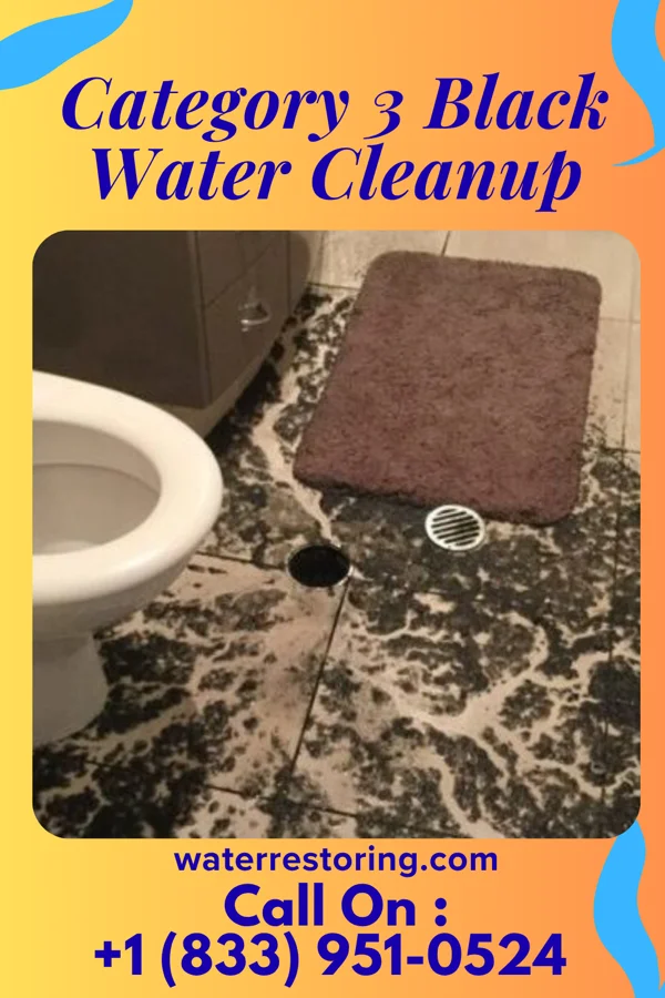 Category 3 Black Water Cleanup in Clontarf, MN