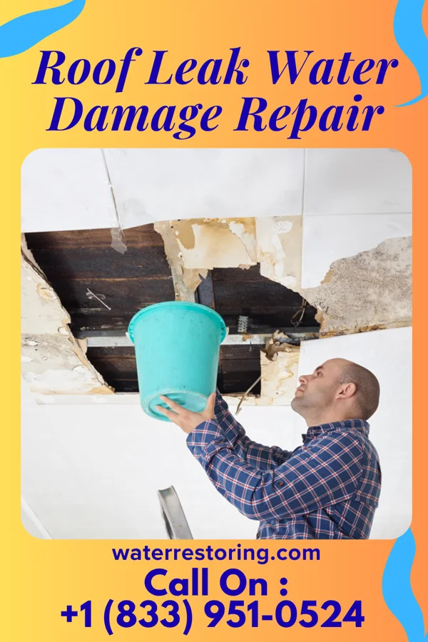 Roof Leak Water Damage Repair in Clontarf, MN